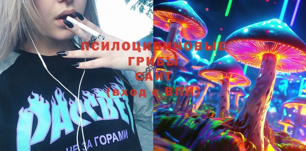 спиды Алексин
