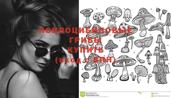 спиды Алексин