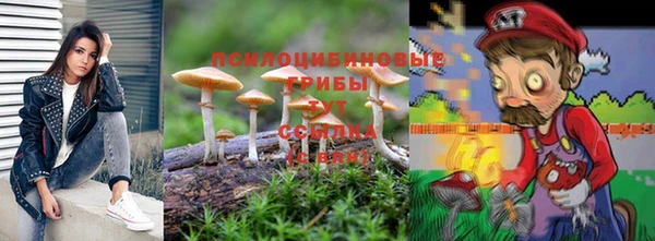 шишки Алексеевка