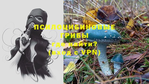 спиды Алексин